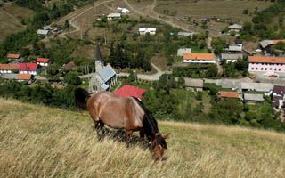 Nejlepší český festival v Rumunsku se musí zažít